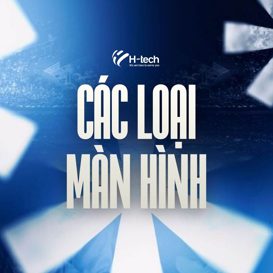 flexible led display